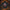 VIM_2641151819881